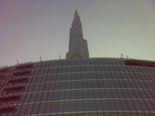 52064_481523928242_822045_o