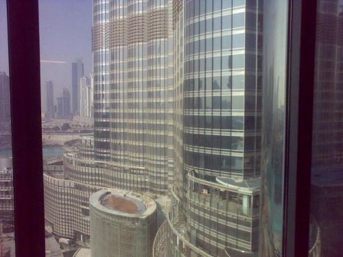 56903_481524313242_1485768_o